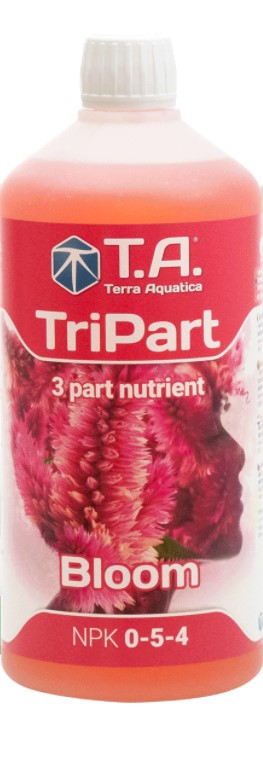 tripart-bloom-t.a