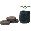 Plantestart