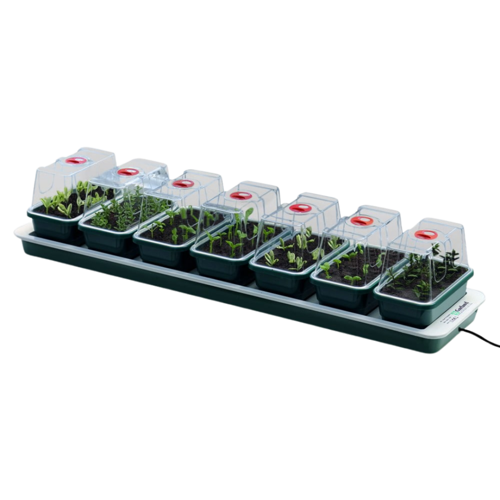 Garland – Super7 beheizter Propagator
