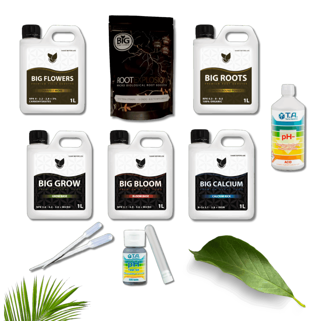 Komplettes Basic Kit Starterpaket – Big Plant Science