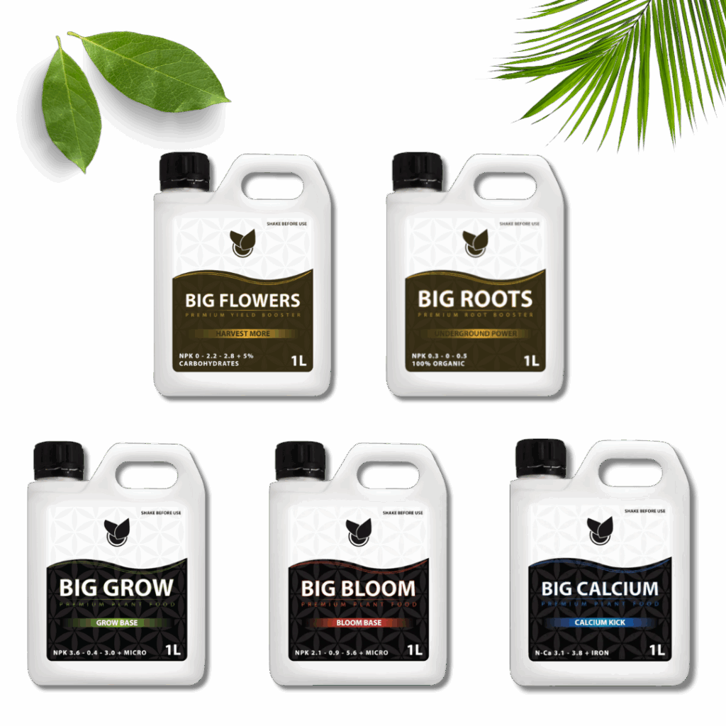Komplettes Basic-Kit - Big Plant Science