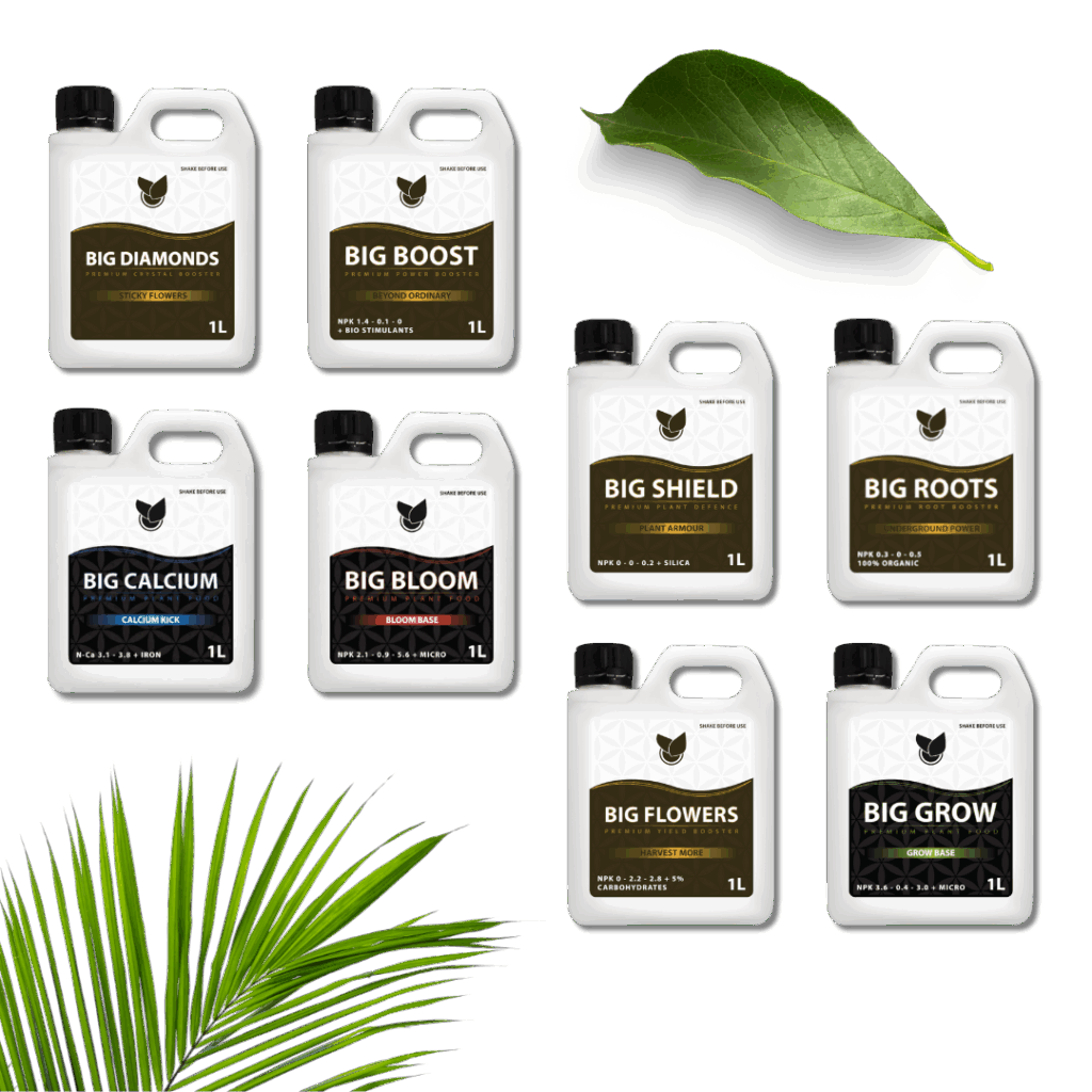Komplettes Premium Kit - Big Plant Science
