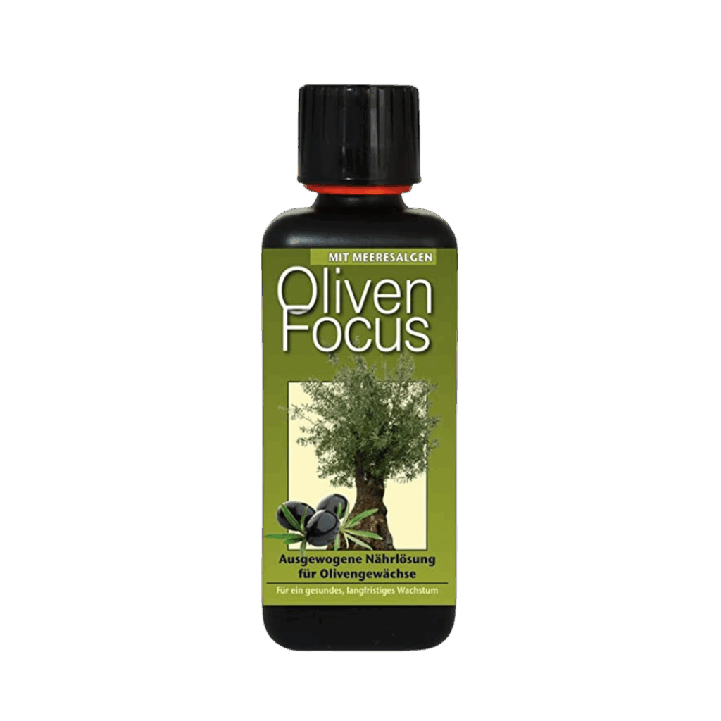 Olivenfokus 1L