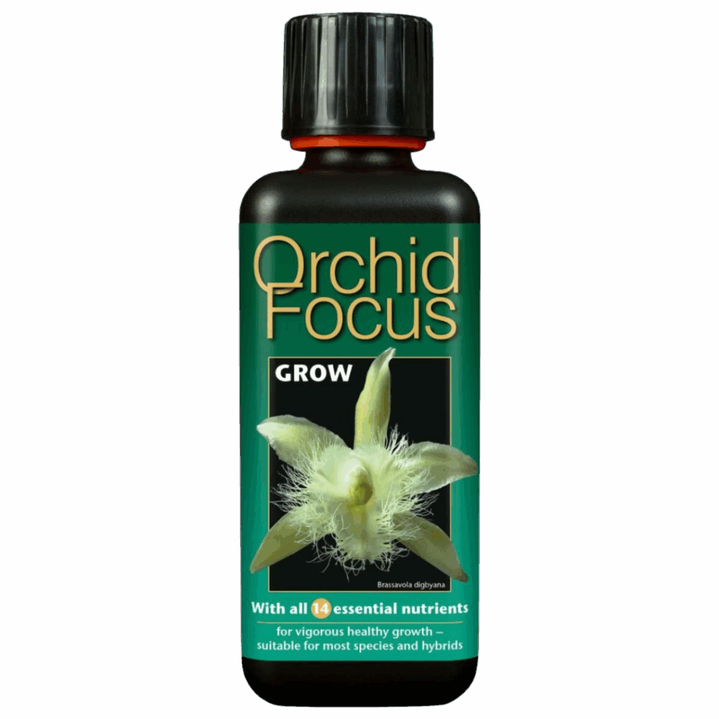 Growth Technology - Orchideen Fokus