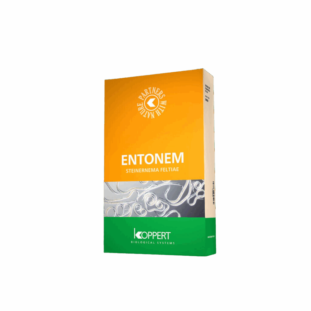 Nematoden (Entonem) 5 Mio - gegen Trauermücken und Thripse