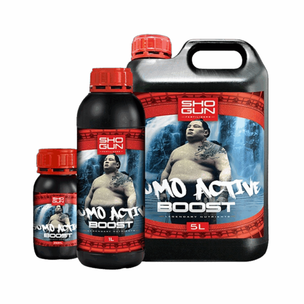 SHOGUN - Sumo Active Boost