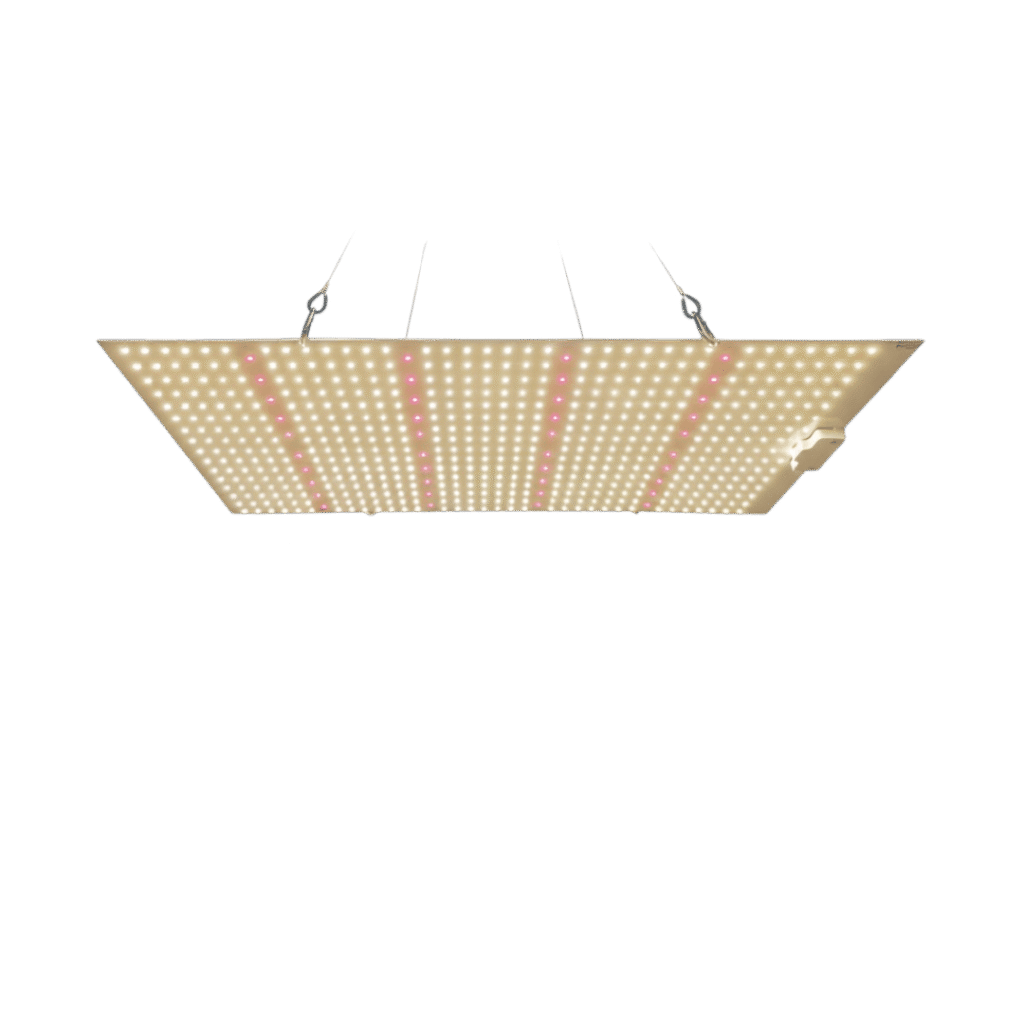 LED-Wachstum und Blüte – 240W
