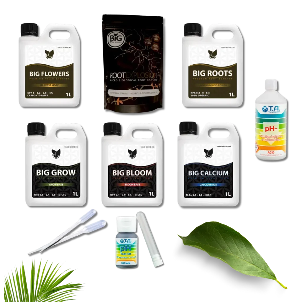 Komplettes Basic Kit Starterpaket – Big Plant Science