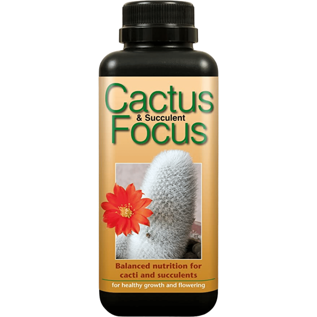 Growth Technology - Kaktus und Sukkulenten Focus 300ml