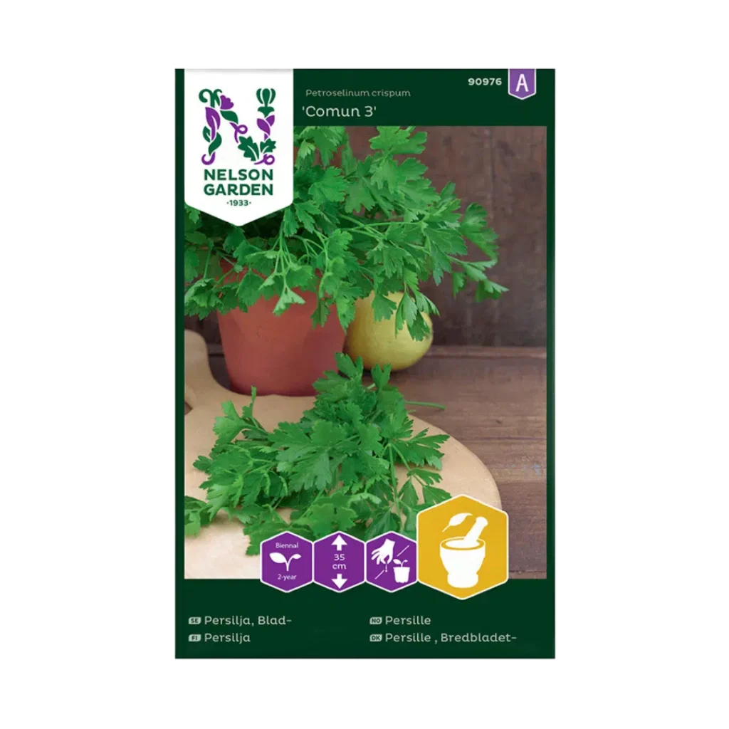 Glattblättrige Petersilie