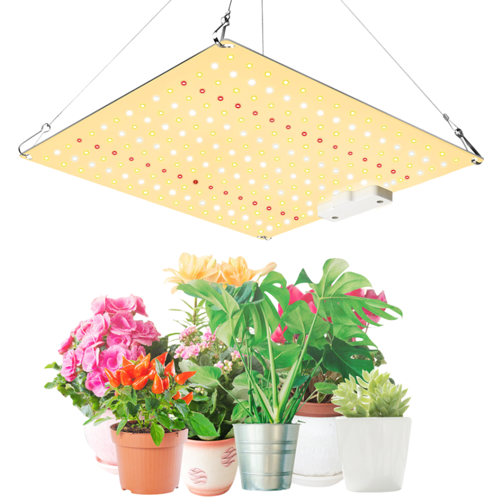 LED-Licht Wachstum und Blüte – 50W