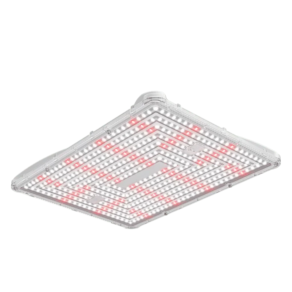 Samsung Board - 3,01 µmol - Secret Jardin