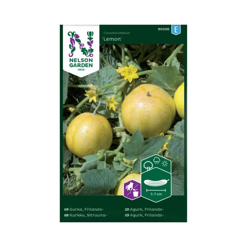 Freilandgurke 'Lemon'