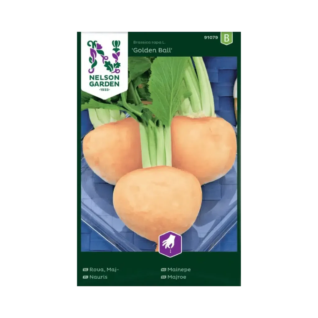 Mairübe ‘Golden Ball’