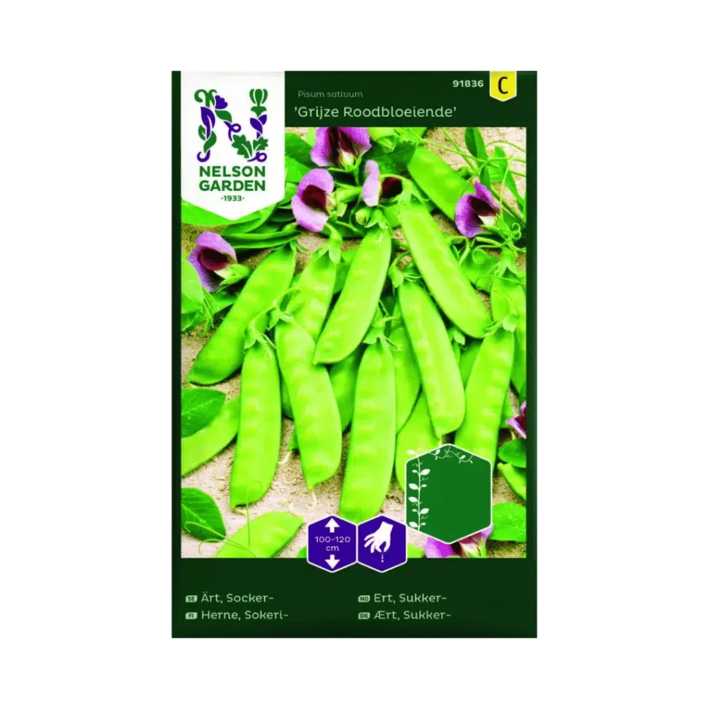 Zuckererbse – Grijze Roodbloeiende
