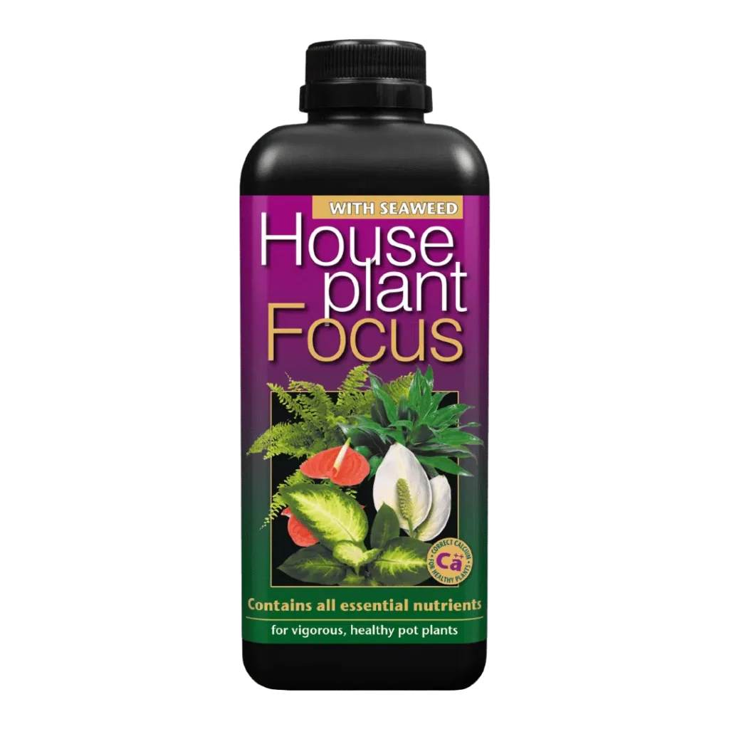 Houseplant Focus - 1L