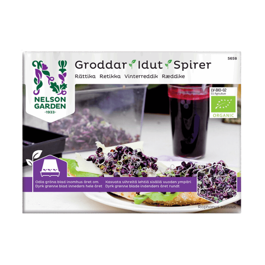 Radieschensprossen