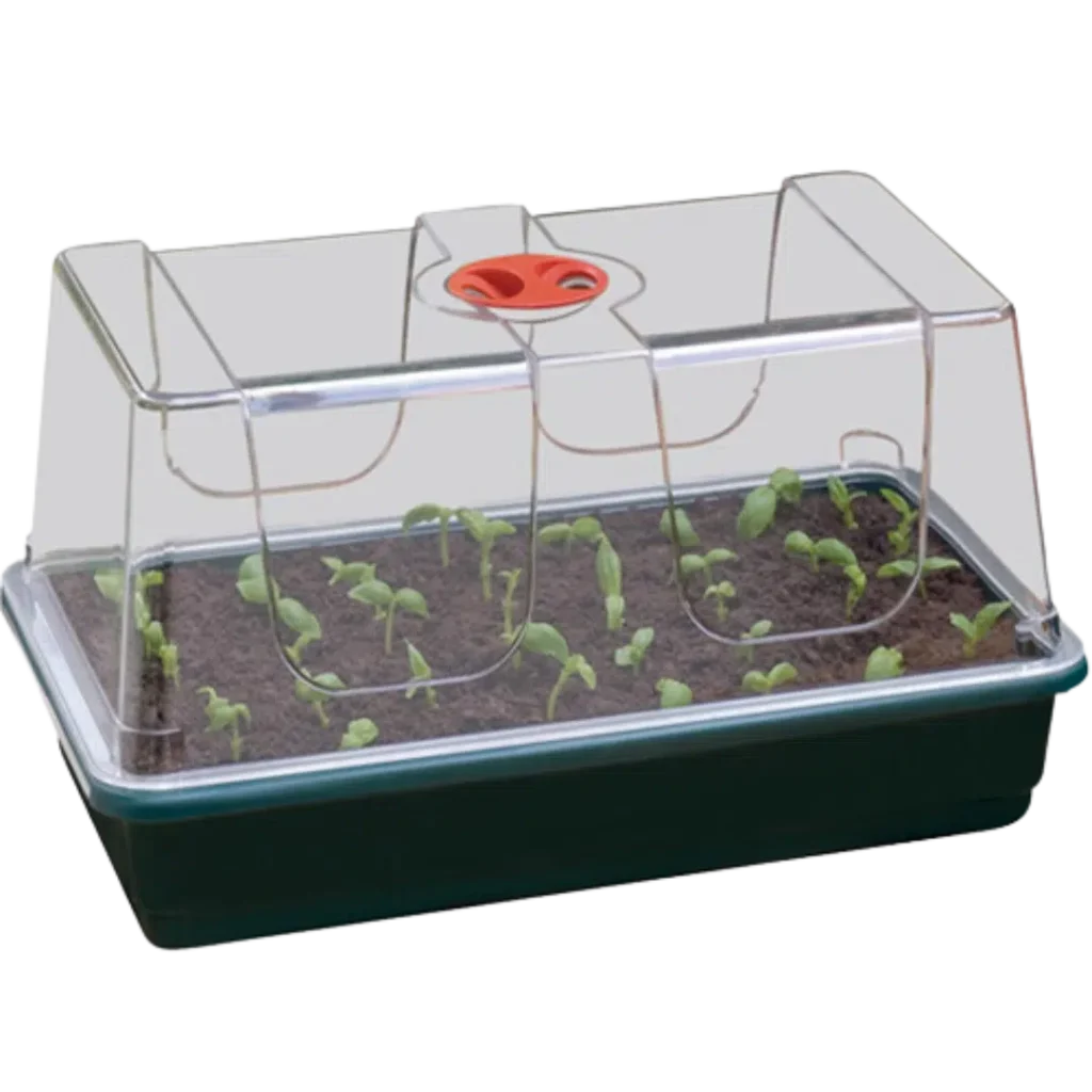 Großes Gewächshaus - Garland