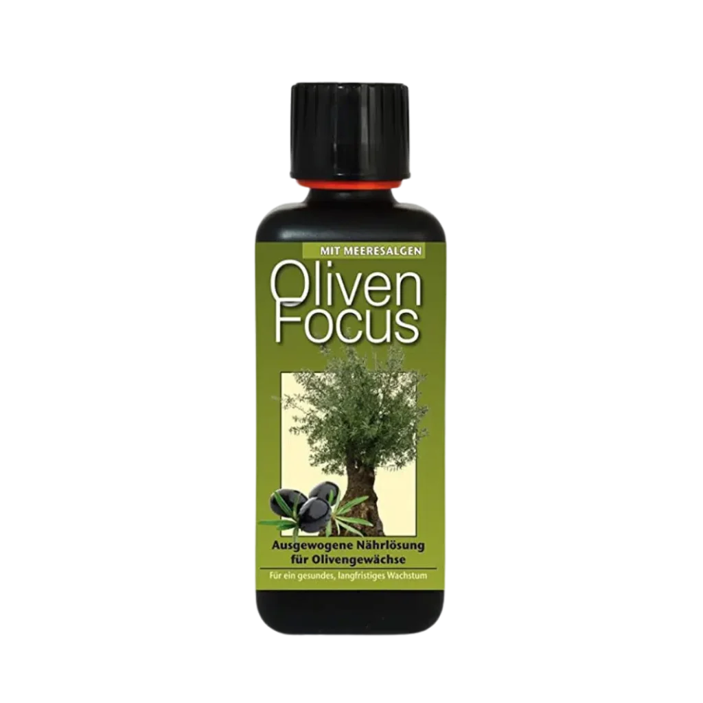Oliven Focus 1L