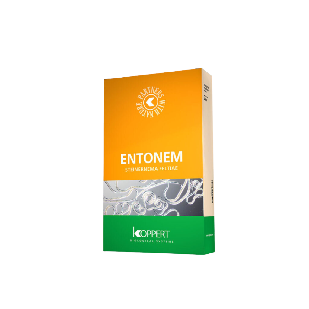 Nematoden (Entonem) 5 Mio. – gegen Trauermücken und Thripse