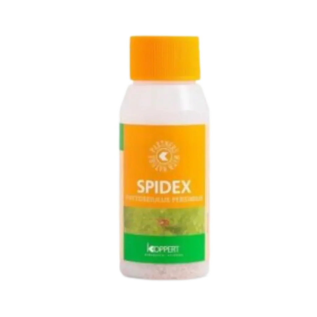 Spidex 2000 Stk. – gegen Spinnmilben