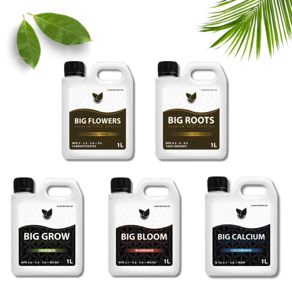 Komplettes Basic Kit - Big Plant Science