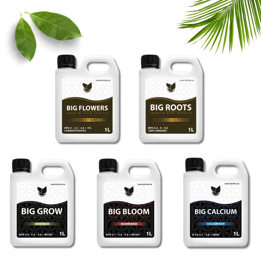 Komplet-Basic-Kit-–-Big-Plant-Science-ny-