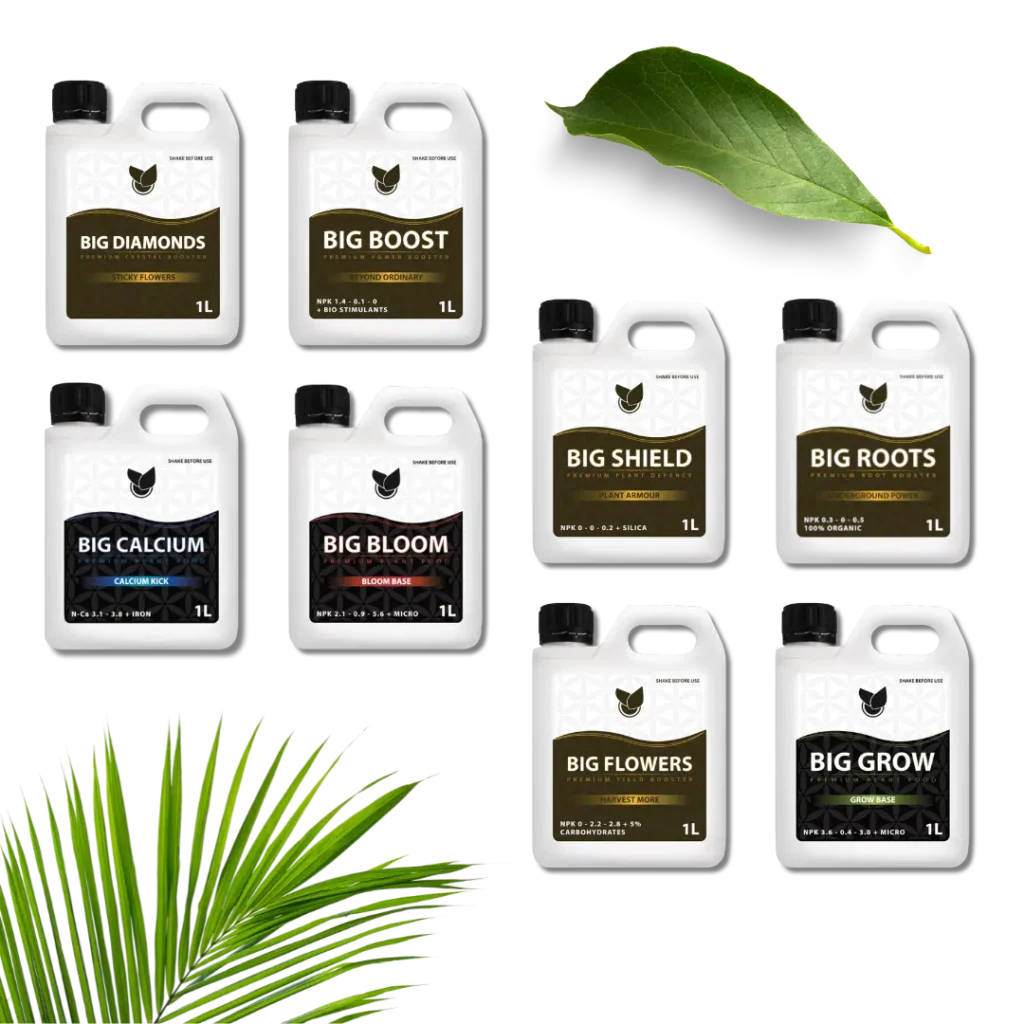 Komplettes Premium-Kit - Big Plant Science